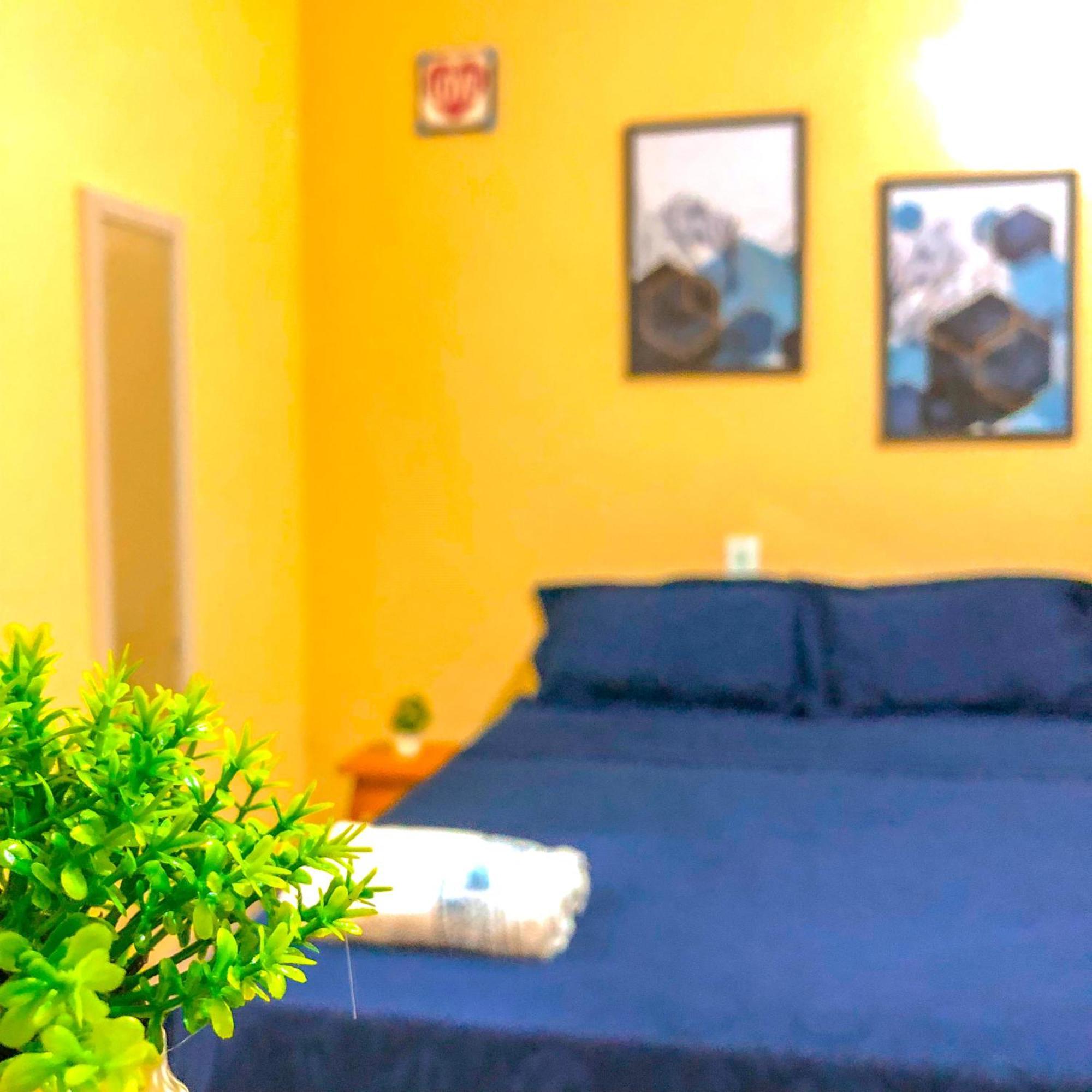 Pousada Casa Do Ivo Santarém Eksteriør billede